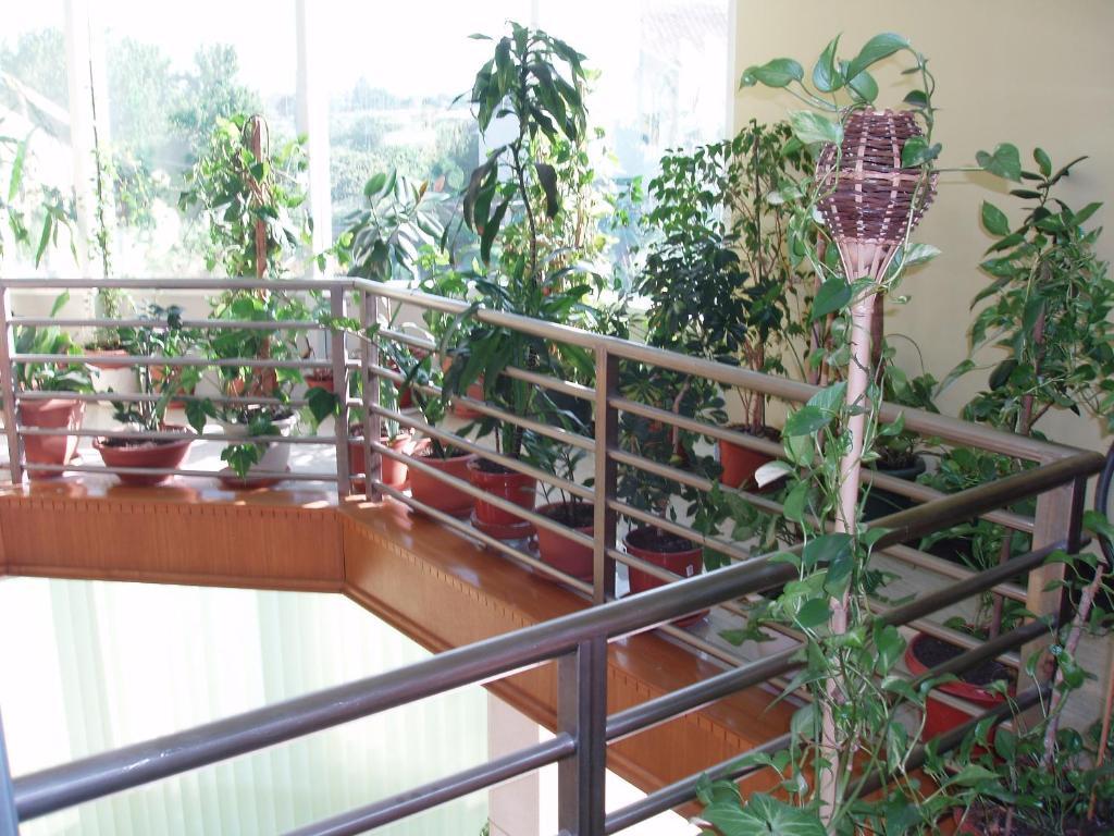 Motel Lav Čapljina Esterno foto